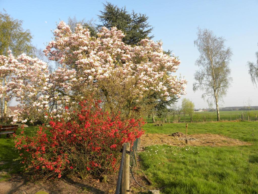 B&B Artiriacumhoeve Zedelgem Dış mekan fotoğraf